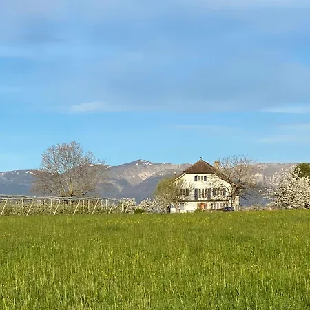 Frühstückspension Domaine En Trembley Commugny