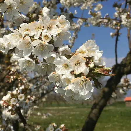 Domaine En Trembley 3* Commugny