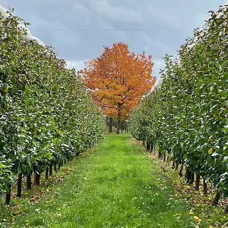 Domaine En Trembley Commugny