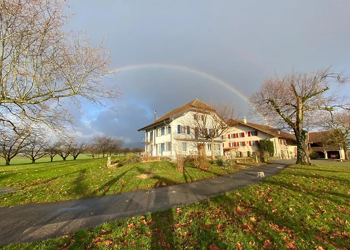 Nocleg ze śniadaniem Domaine En Trembley 3*