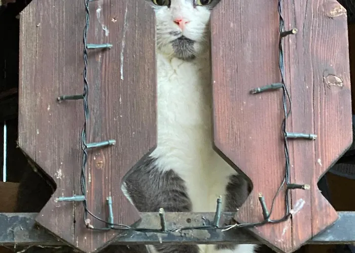 Domaine En Trembley Nocleg ze śniadaniem