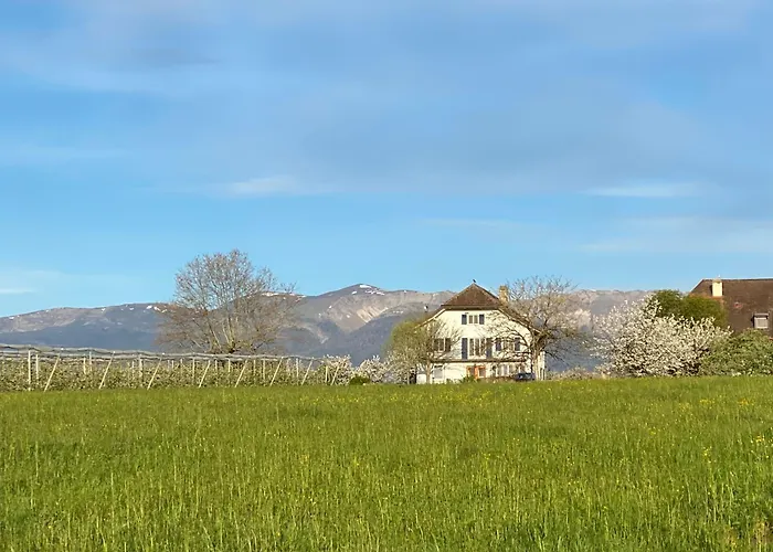 Nocleg ze śniadaniem Domaine En Trembley Commugny