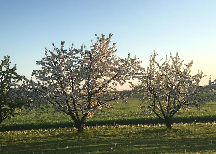 Nocleg ze śniadaniem Domaine En Trembley 3*