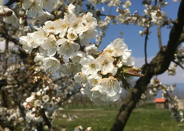 Domaine En Trembley 3* Commugny