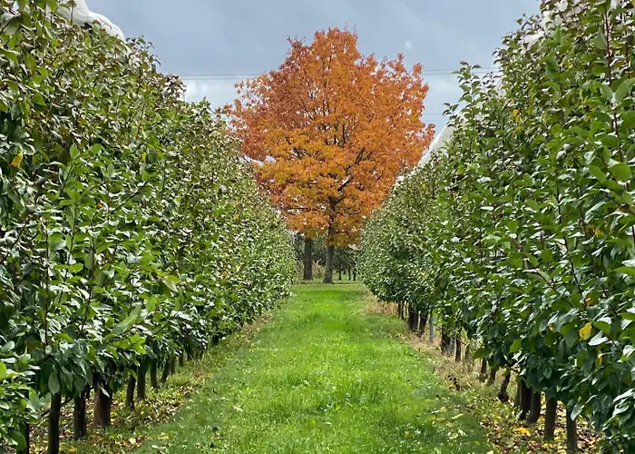 Domaine En Trembley Commugny
