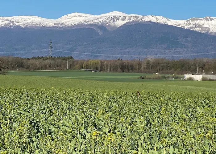 Nocleg ze śniadaniem Domaine En Trembley Commugny