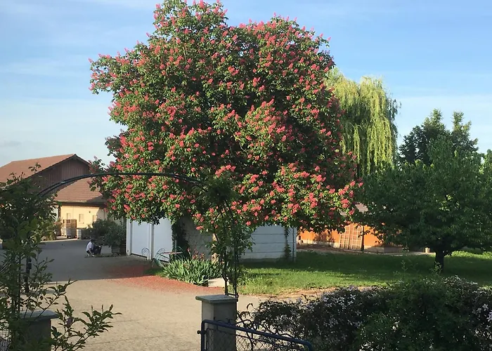 Nocleg ze śniadaniem Domaine En Trembley