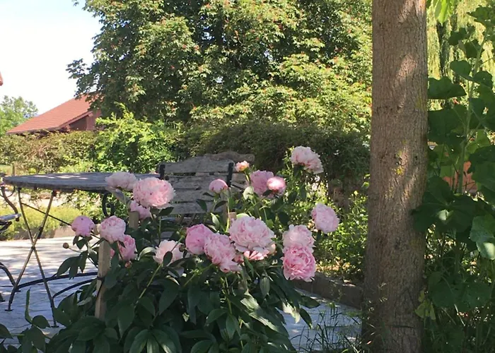 Domaine En Trembley Nocleg ze śniadaniem 3*