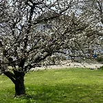 Domaine En Trembley Bed & Breakfast Commugny