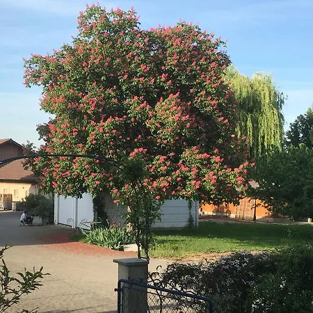 Alojamento de Acomodação e Pequeno-almoço Domaine En Trembley