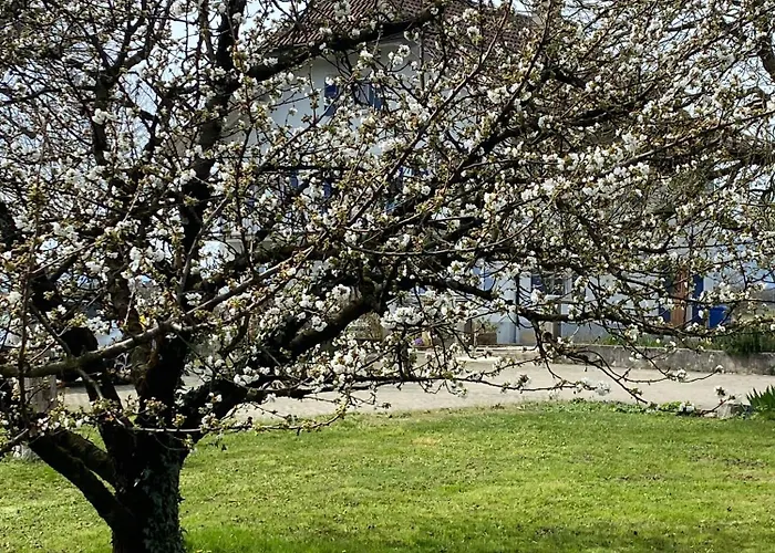 Domaine En Trembley Alojamento de Acomodação e Pequeno-almoço Commugny
