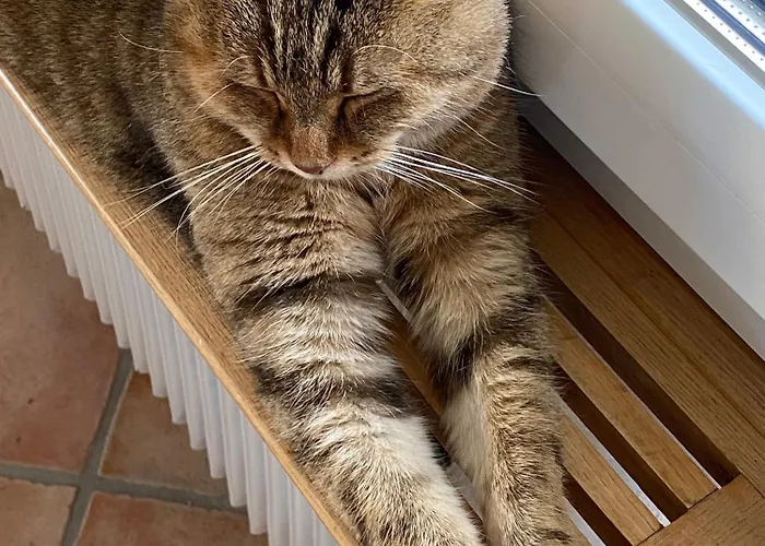 Domaine En Trembley 3*