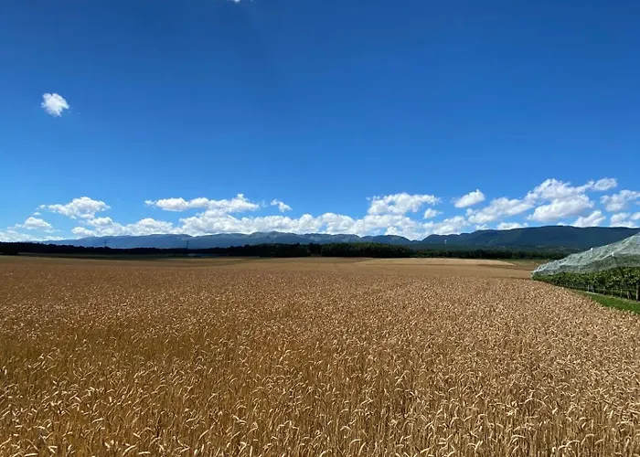 Domaine En Trembley Alojamento de Acomodação e Pequeno-almoço